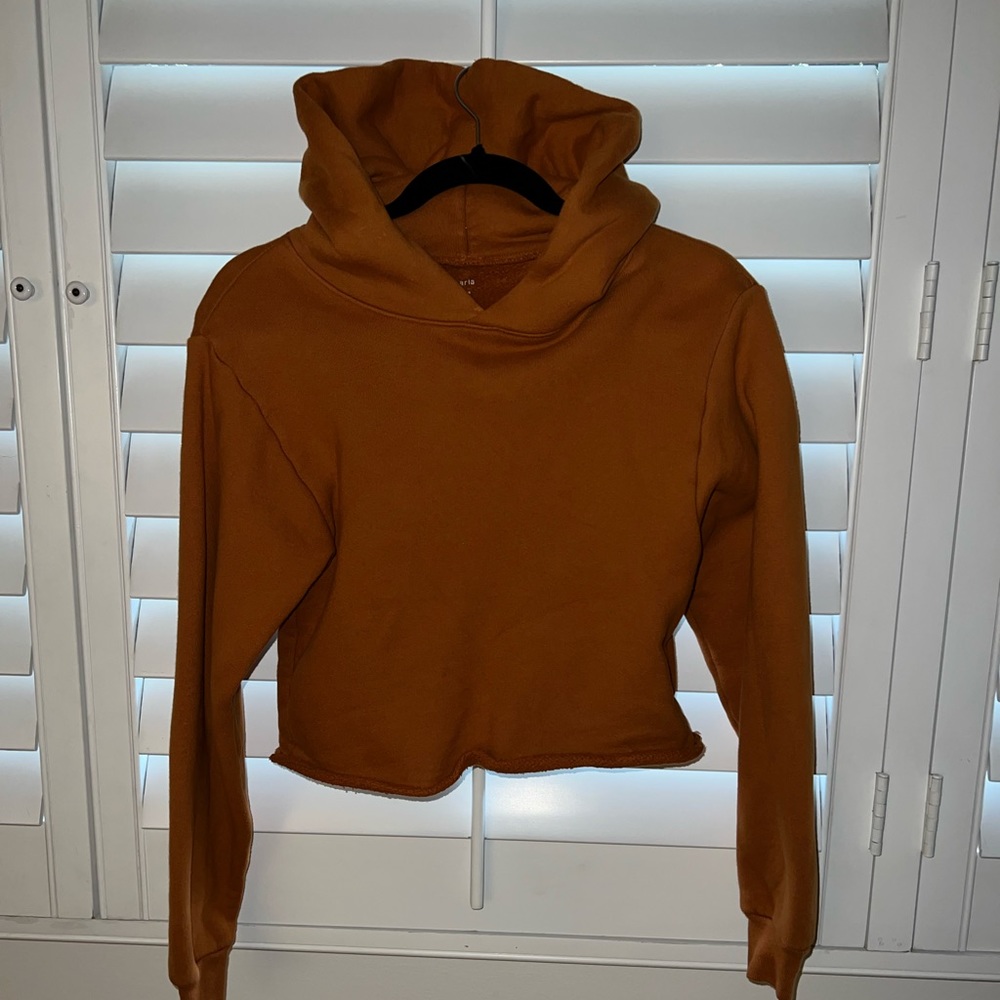 Hanes x Karla Cropped Hoodie in Burnt Orange